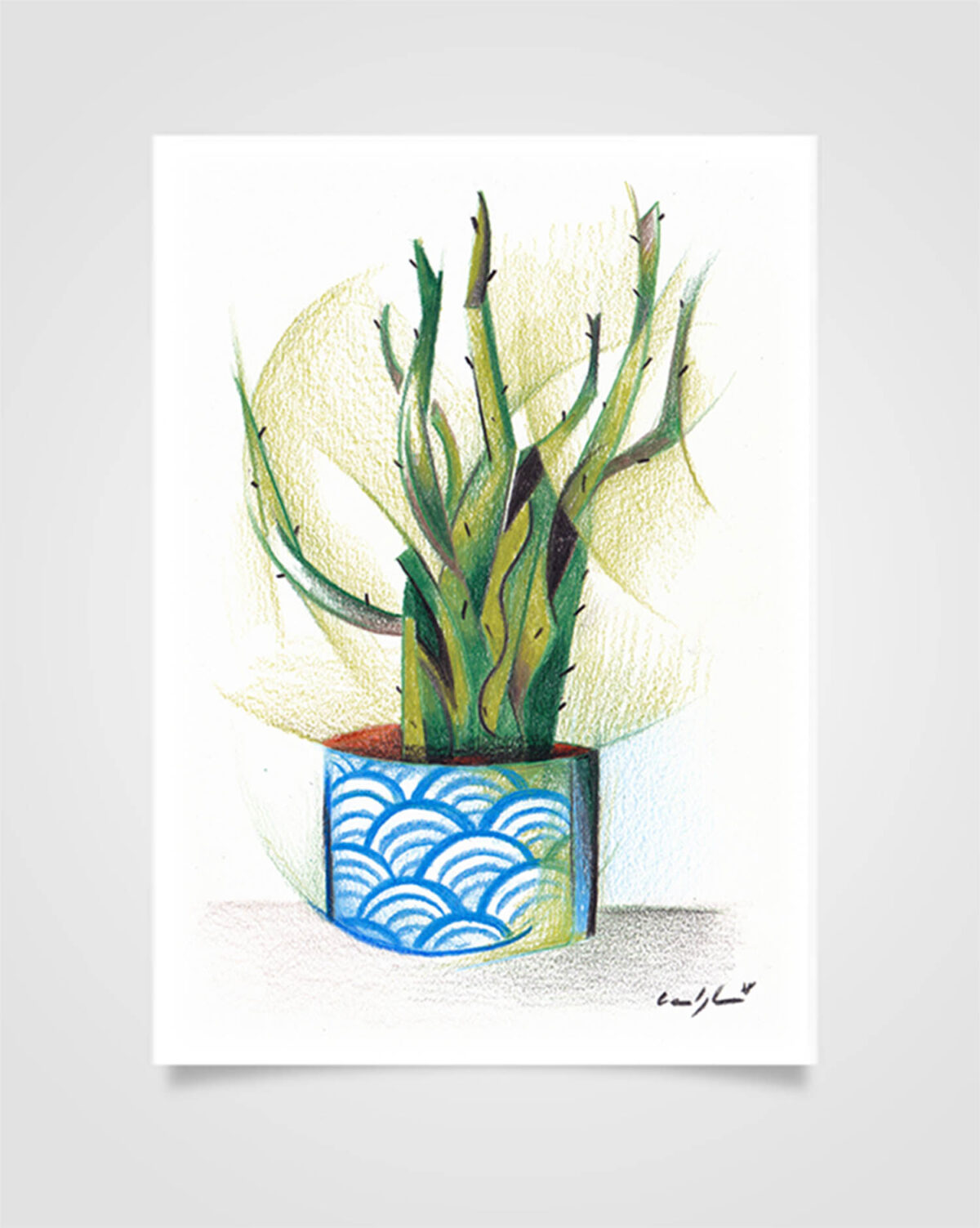 "Flora - Cactus" Pastelli su carta, 14,8 x 21cm